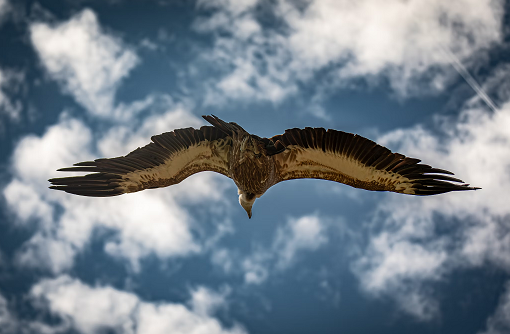La situation actuelle de la politique mondiale devrait être plus intense pour le reste de l’année 2024.